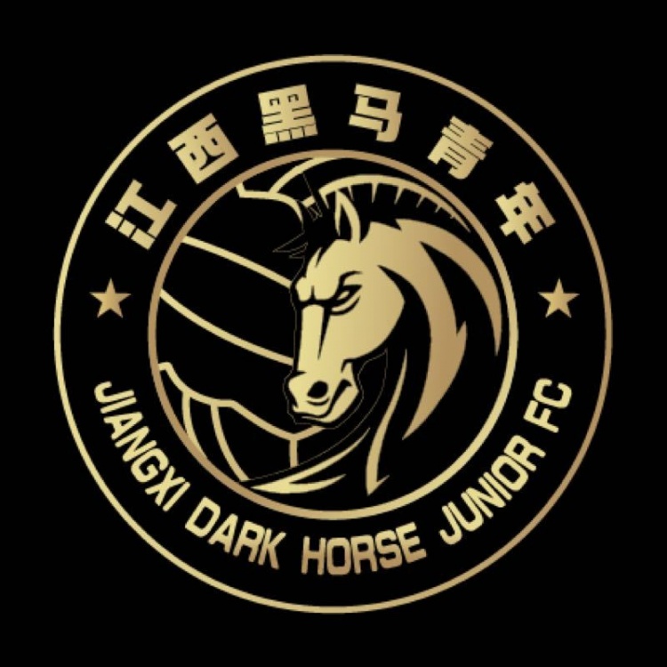  官方：江西黑馬青年完成異地遷移程序，更名為溫州職業(yè)足球俱樂部